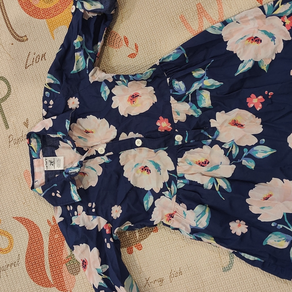 Carter's Floral Button-Up Dress